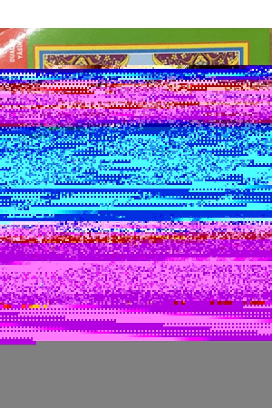 2 Adet Güneş Enerjili, Kumandalı, RGB, Gün Işığı, Mavi, Kırmızı Işıklı Gece Sensörlü Bahçe Apliği