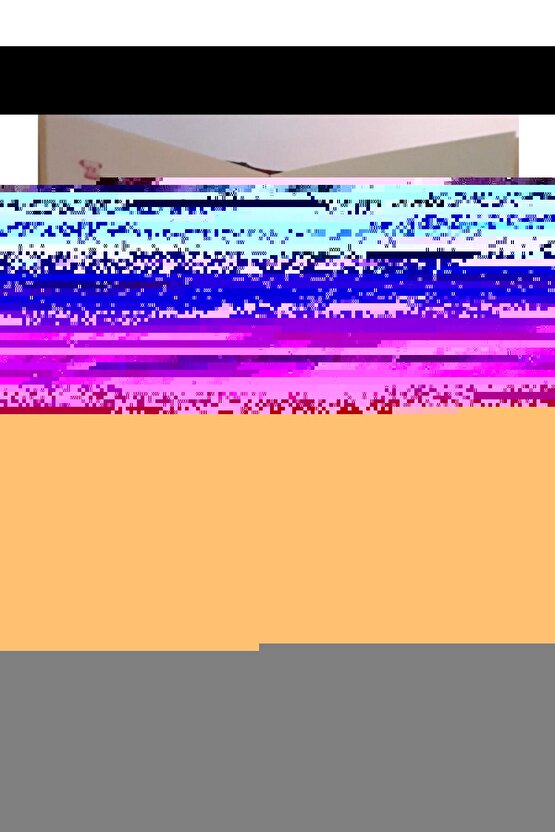 x SPONGEBOB Rider FV Ayakkabı