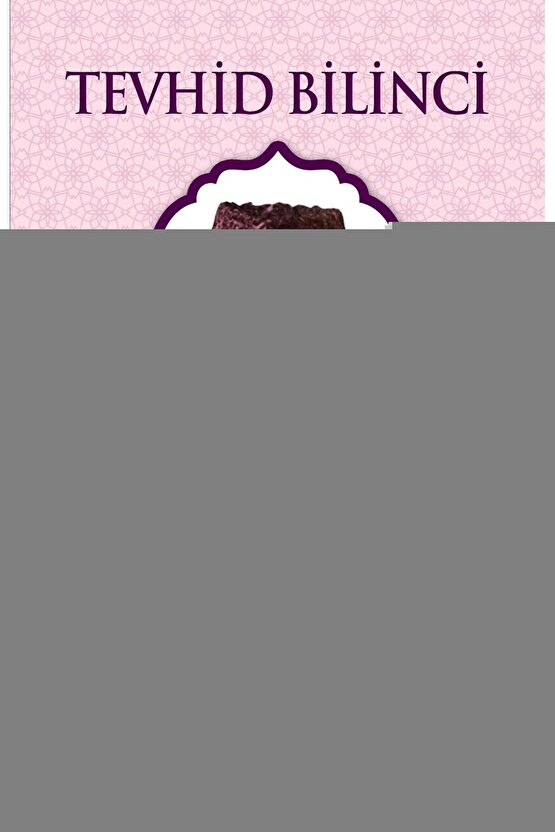 3Lü Parlak Kadife Giydirme Koltuk Örtüsü (GÜMÜŞGRİ)