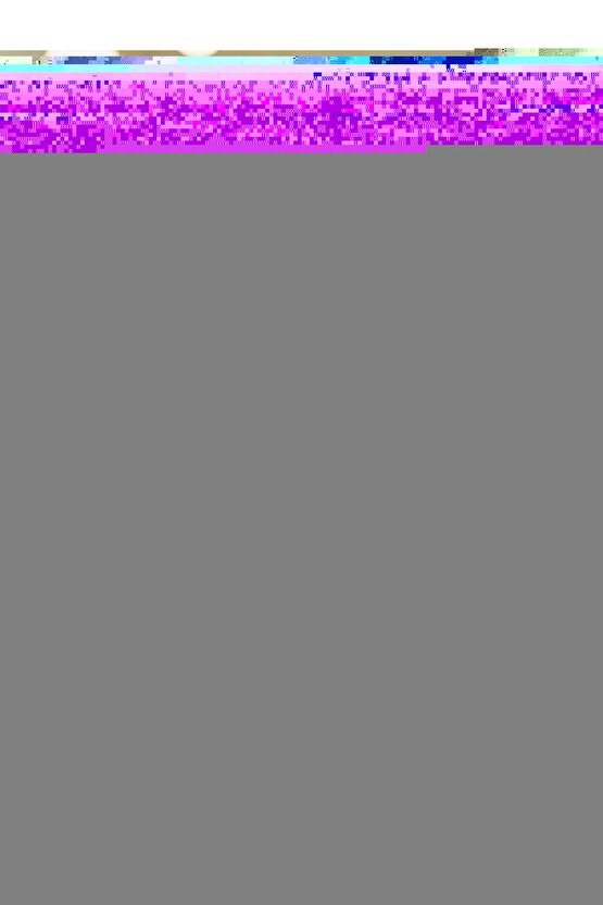 Cnc Kesim Hasta Karyolası Yatağı 90x190x14 Cm