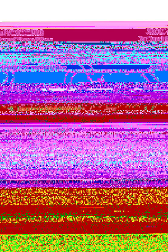 Çok Amaçlı Bone 100 Adet, Tabak Bonesi, Gıda Bonesi, Tencere Bones, Saç Bonesi