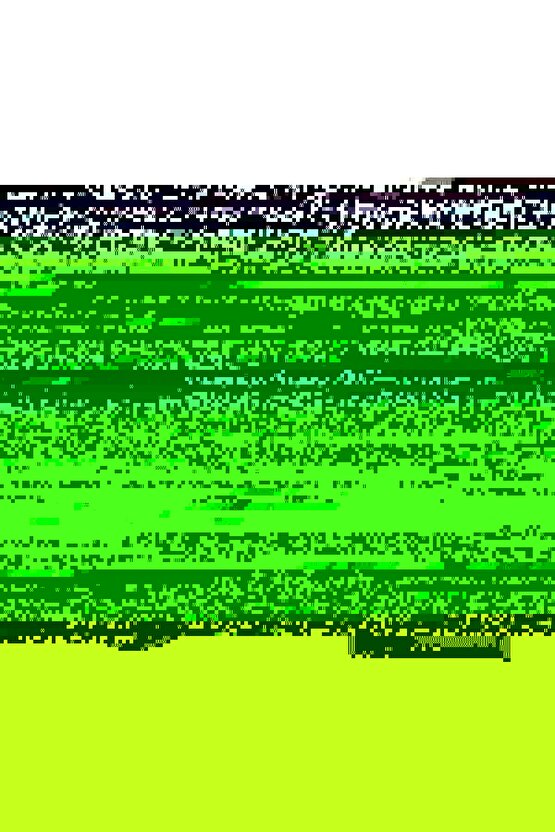 Çift Taraflı Steteskop