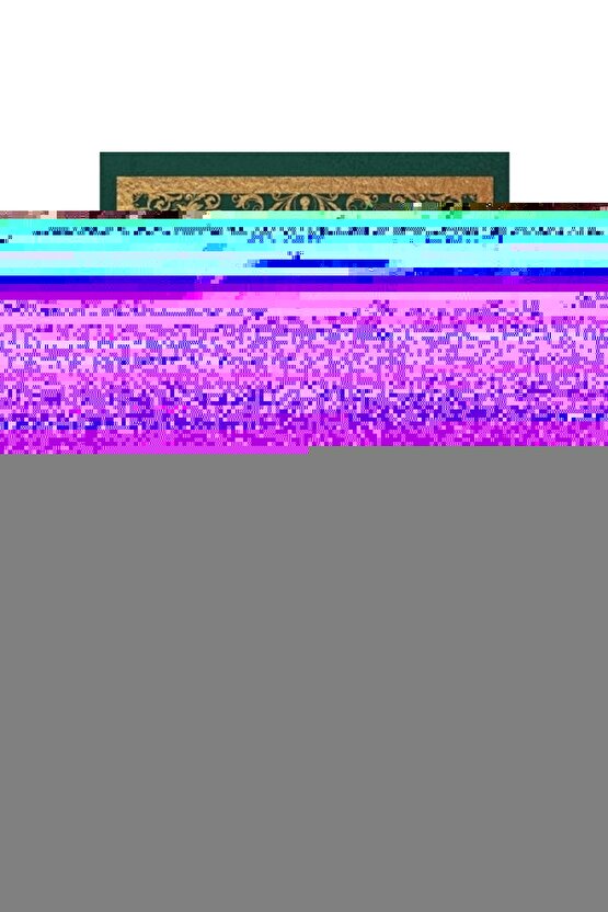 Spor Koşu Bileklik Telefon Tutucu 360° Dönebilen Tüm Telefonlara Uyumlu + Bisiklet Telefon Tutucu