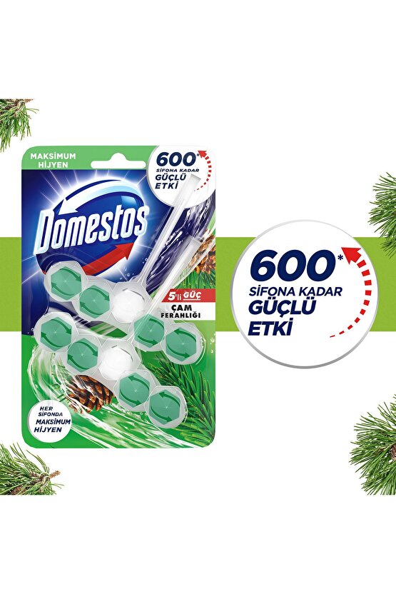 WC Blok 5li Güç Çam Ferahlığı 600 Sifona Kadar Güçlü Temizlik 110 GR İkili Paket