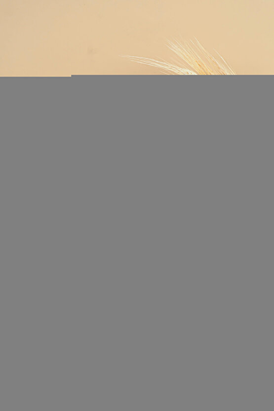 BLUETOOTH SPEAKER ŞARJLI KABLOSUZ HOPARLÖR PARTY BOX SES BOMBASI