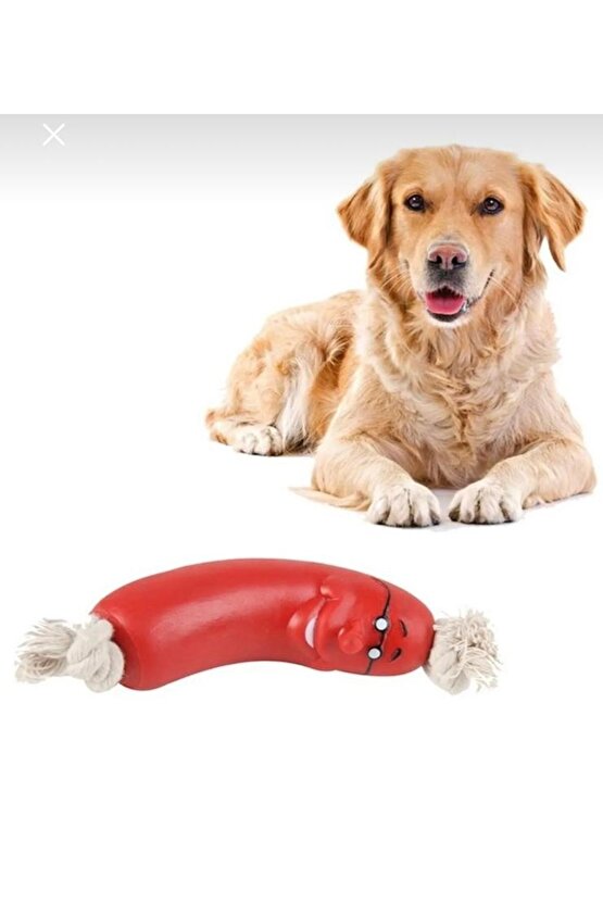 KÖPEK OYUNCAĞI HALATLI SOSİALİ