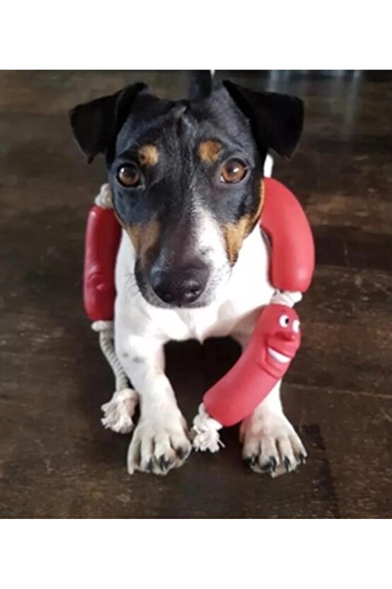 KÖPEK OYUNCAĞI HALATLI SOSİALİ