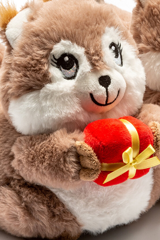 Sincap Kadın Panduf Kahverengi 3641