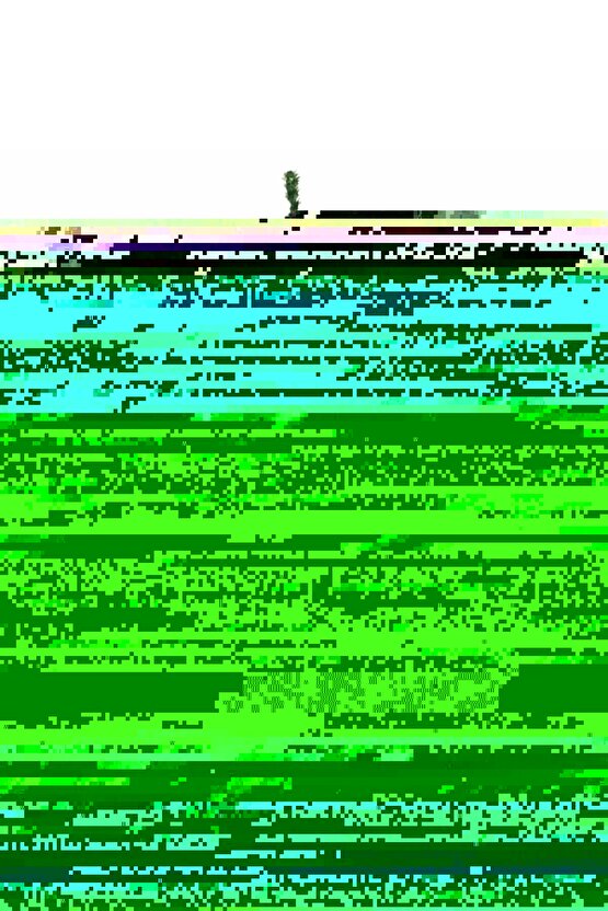 Touch of Evil (1958) 002 AFİŞ - POSTER