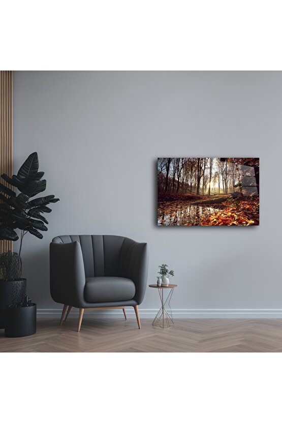 Sonbahar Ormanı Cam Tablo