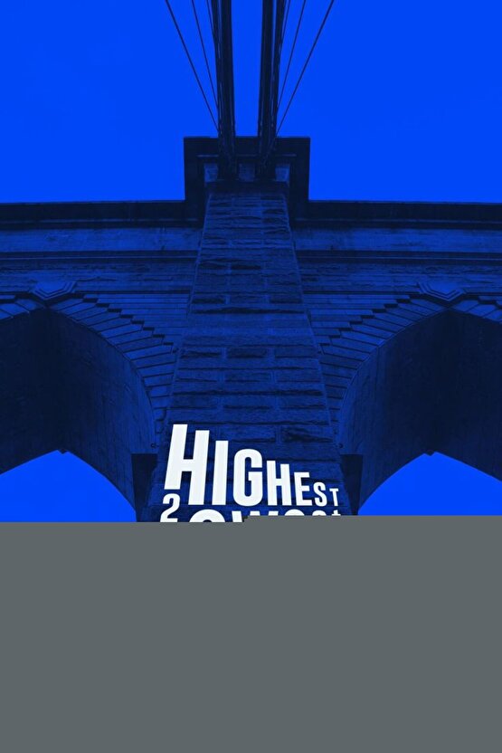 Canlı Lale Tarlası Duvar Sanatı