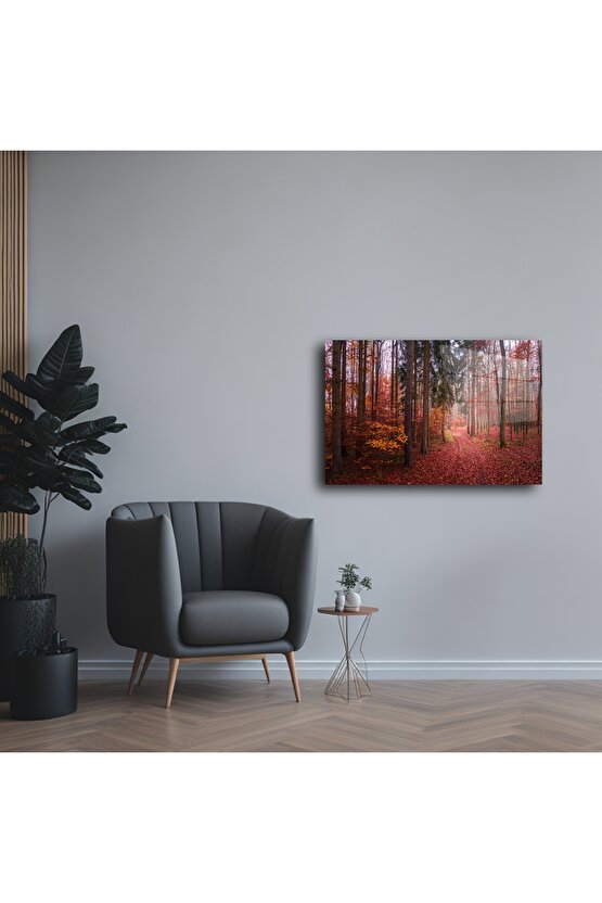 Kırmızı Yapraklı Orman Yolu Cam Duvar Tablosu