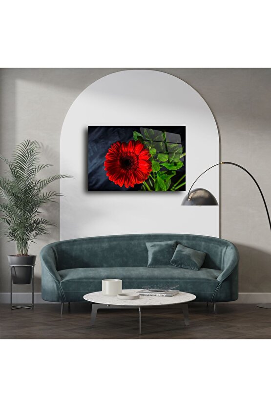 Parlak Cam Üzerine Kırmızı Çiçek Tablosu