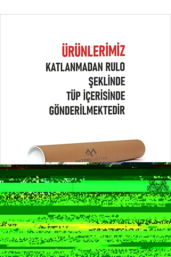 Neon Işıkta Güller Arasında Tüylü Kedi Cam Tablo