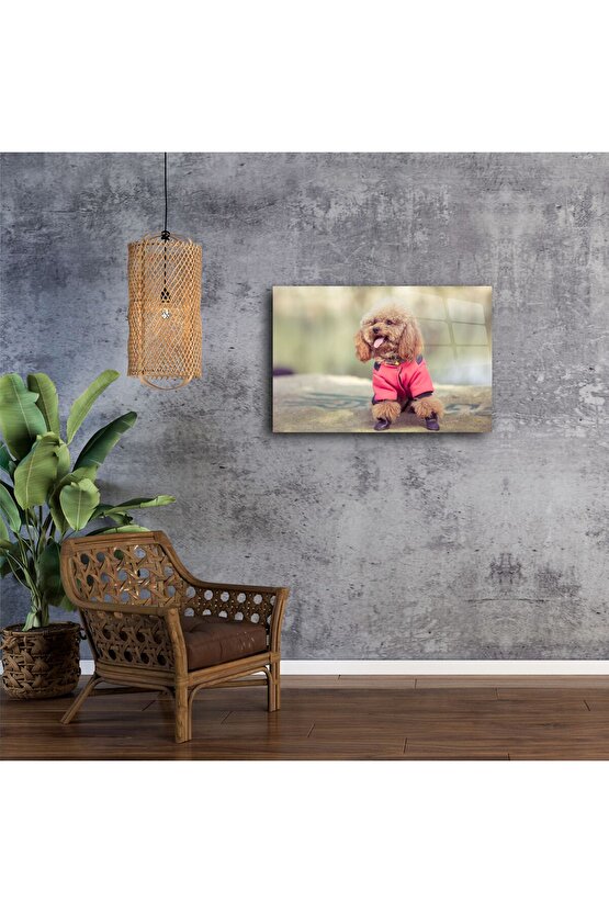 Sevimli Kahverengi Poodle Duvar Sanatı