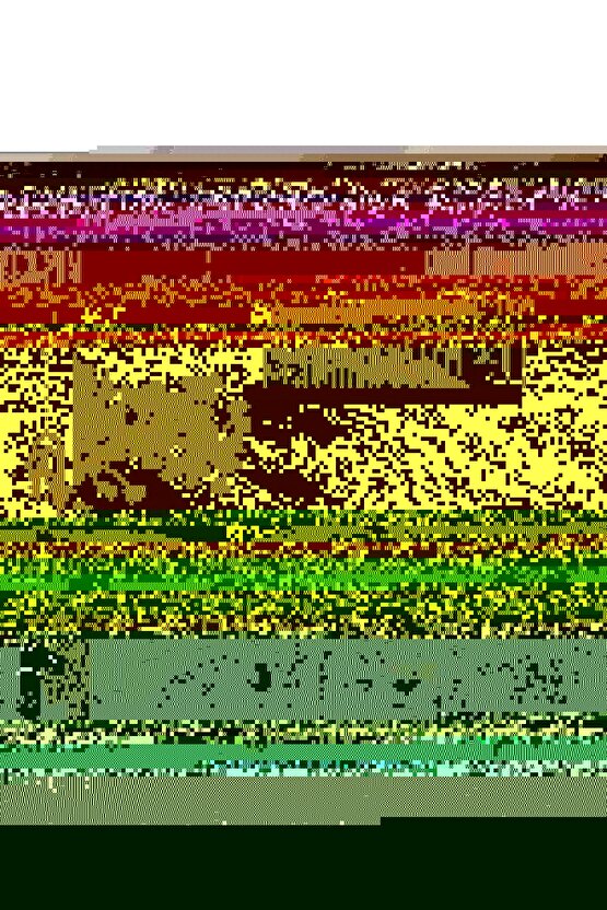 Çiçekli Ev Yolu Digital Art ( ÇERÇEVESİZ - ÇERÇEVE YOKTUR ) ( ULTRA HD ) FOLYO AFİŞ - POSTER