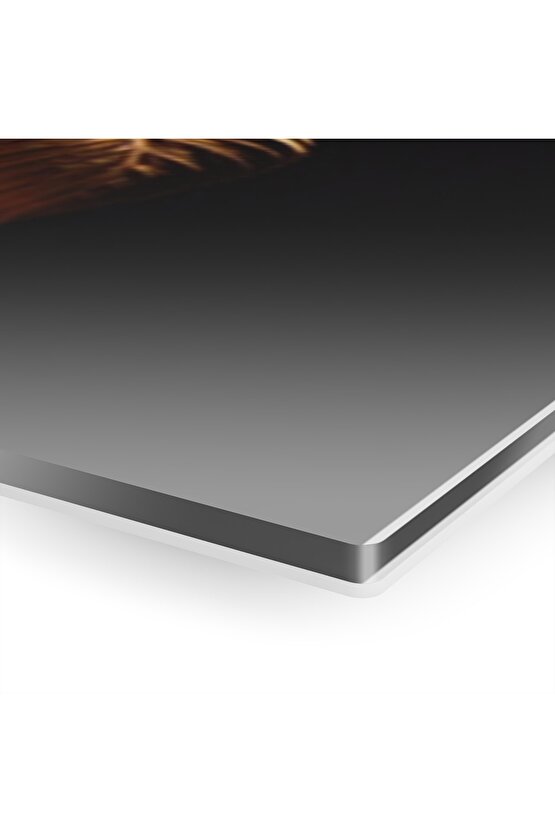 Atatürk Model 7 Cam Tablo Duvar Dekoru