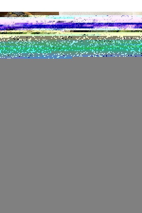 Spirited Away (2001) 4 AFİŞ - POSTER ( FOLYO ) - AFİŞ - POSTER-6000