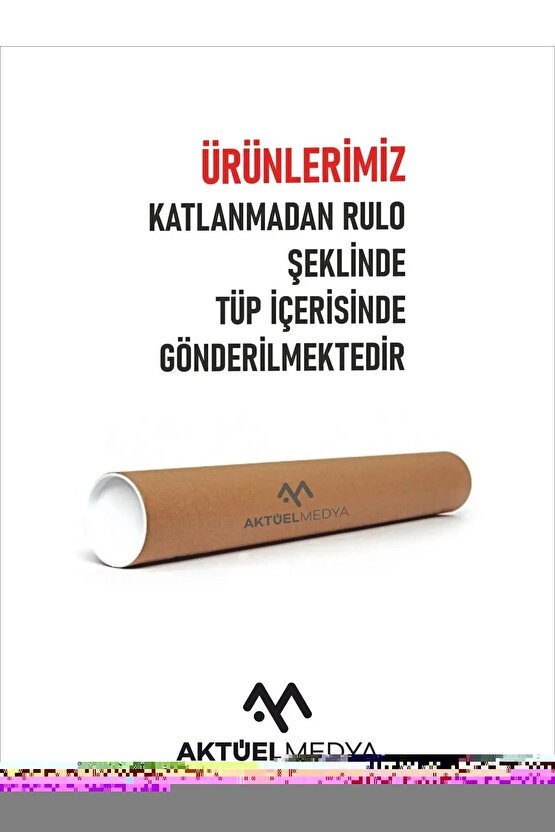 Pokemon the Movie Mewtwo Strikes Back - Evolution (2019) ( FOLYO ) - AFİŞ - POSTER-5144