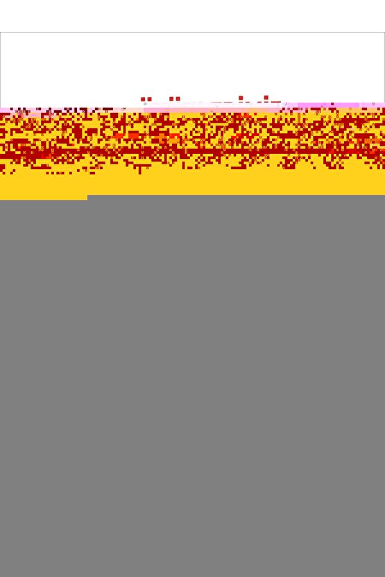 Risale-i Nur Külliyatından Çanta Boy Risale Seti Yeni Tanzim Lügâtçeli (13 Kitap)