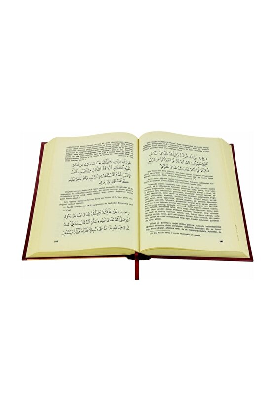 Tarikat-i Muhammediyye - Imam-ı Birgivi