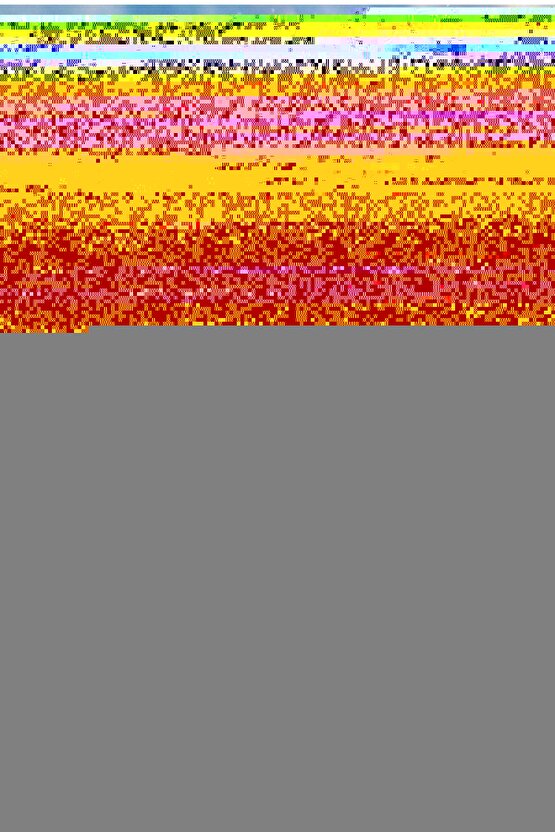 110 Erkek Gri Askılı Atlet 3 Adet Paket Abani Classic