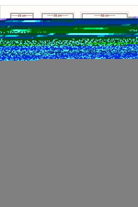 Erkek Beyaz Pamuklu Bisiklet Yaka Atlet 103