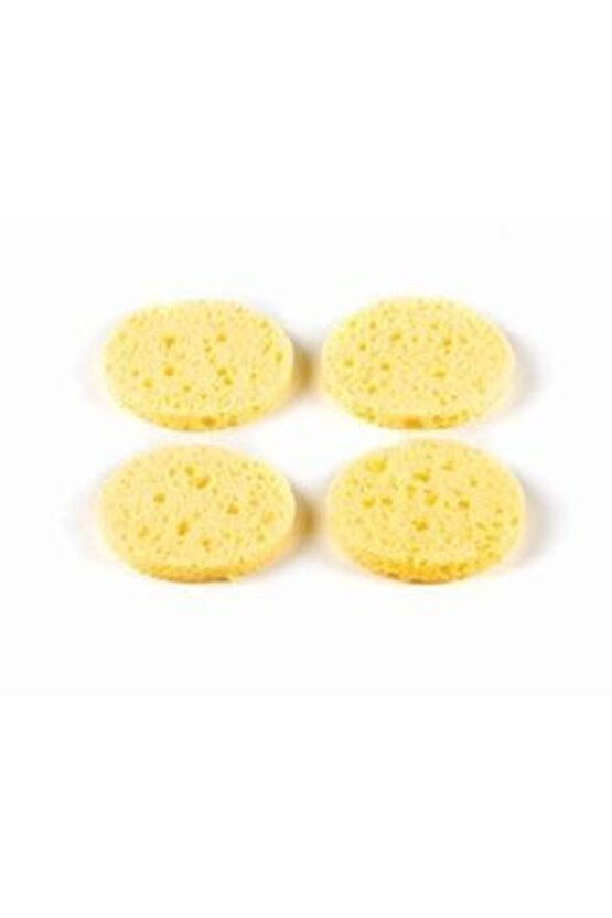 Tedavi 4 Lüvakum Süngeri Fizik