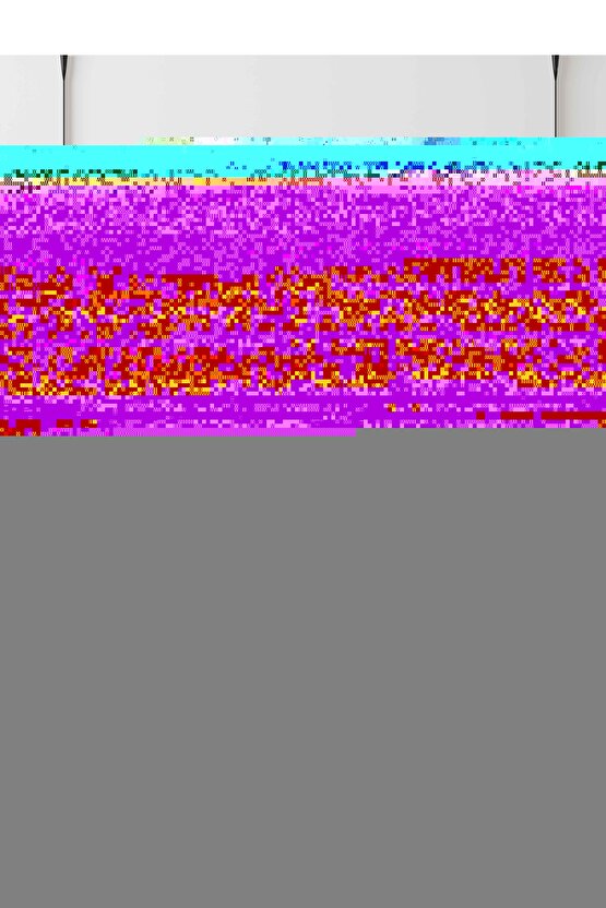 Kalınbağırsak Maketimodel 54