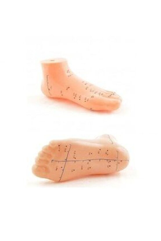 AKUPUNKTUR AYAKMAKETİ 834 ***