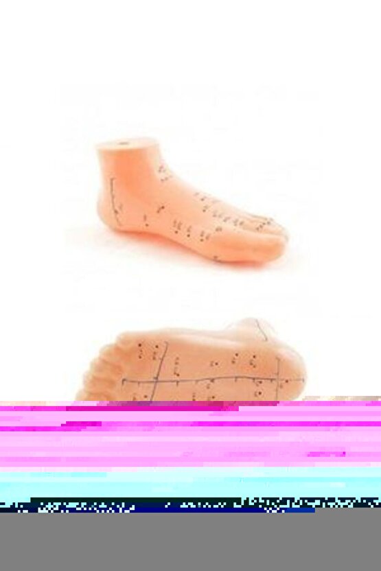 AKUPUNKTUR AYAKMAKETİ 834 ***