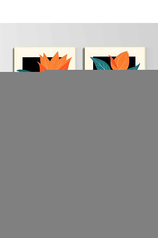 Hasta Taşıma Kemeri Hasta Taşıma Kemeri