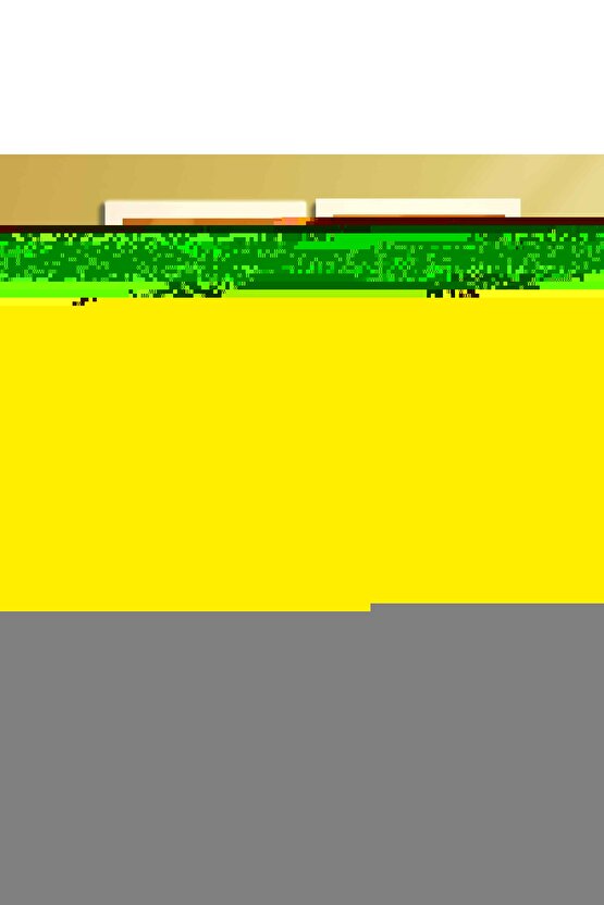 Portatif Sedye 4 e Katlanır