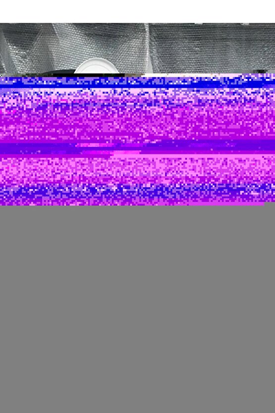 Matisse - Sanat - Soyut - Doğa - Ev - Yaşam ( 2 Li Çerçevesiz ) Poster - Afiş - Tablo NNHT151