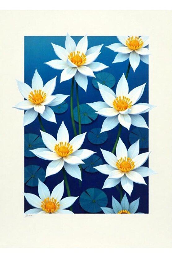 Doğum Sonrası Korse MEDİUM