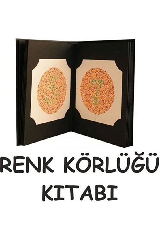 İshihara Kitabı