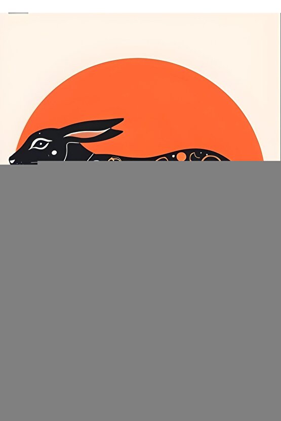 Ön Çapraz Bağ Destekli Dizlik Standart Beden Cırt Ayarlı