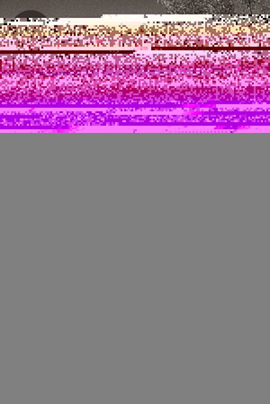 Matisse - Sanat - Soyut - Doğa - Yaşam ( Tekli Çerçevesiz ) Poster - Afiş - Tablo MKKM2589