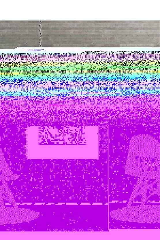 Matisse - Sanat - Soyut - Doğa - Yaşam ( Tekli Çerçevesiz ) Poster - Afiş - Tablo MKKM2620