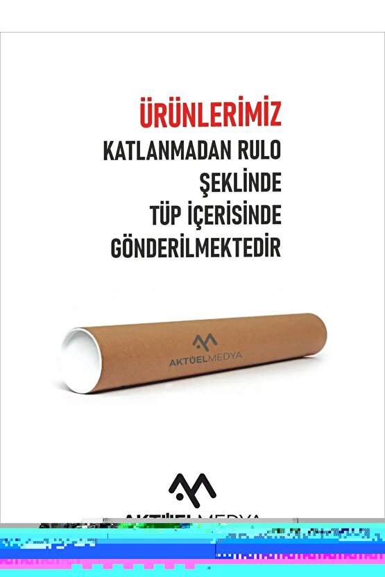 Matisse - Sanat - Soyut - Doğa - Yaşam ( Tekli Çerçevesiz ) Poster - Afiş - Tablo MKKM2177