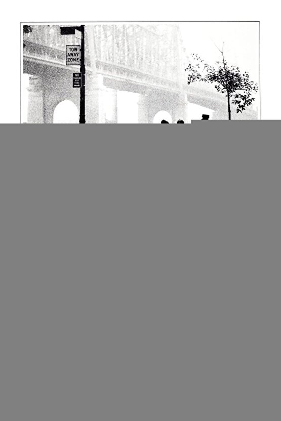 Matisse - Sanat - Soyut - Doğa - Yaşam ( Tekli Çerçevesiz ) Poster - Afiş - Tablo MKKM2556