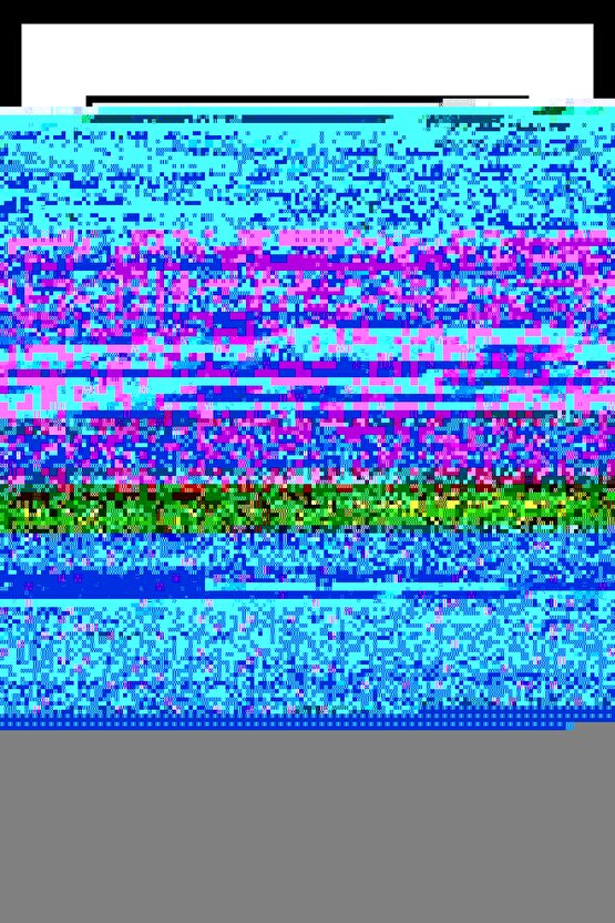 Matisse - Sanat - Soyut - Doğa - Yaşam ( Tekli Çerçevesiz ) Poster - Afiş - Tablo MKKM2444