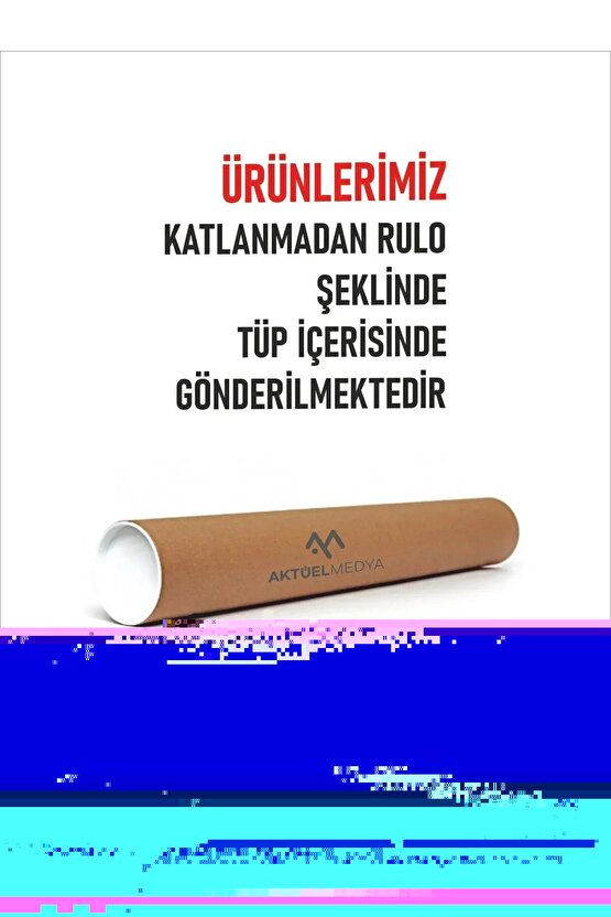 Matisse - Sanat - Soyut - Doğa - Yaşam ( Tekli Çerçevesiz ) Poster - Afiş - Tablo MKKM1420