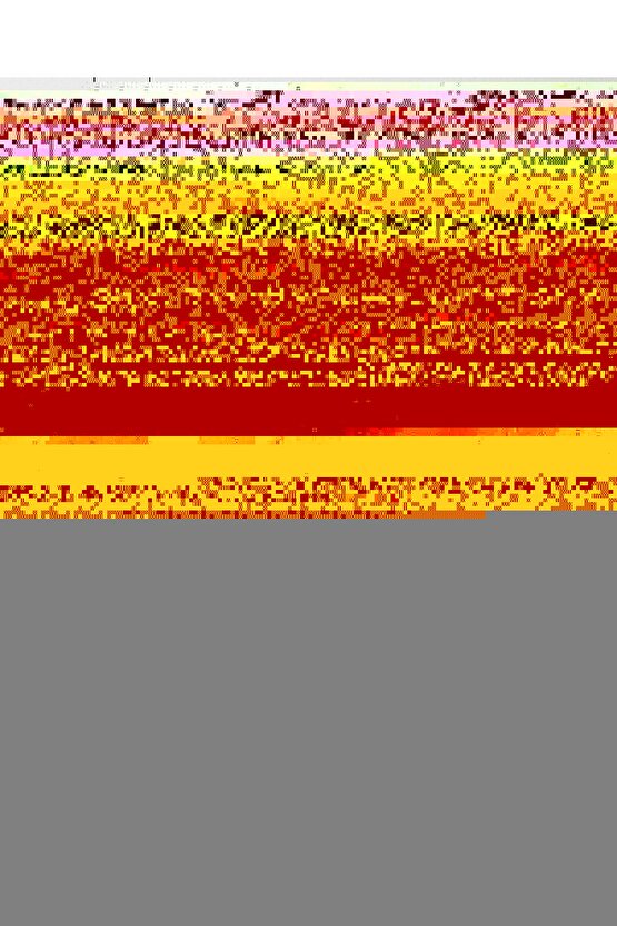 Soy Ağacı Digital Art ( ÇERÇEVESİZ - ÇERÇEVE YOKTUR ) ( ULTRA HD ) FOLYO AFİŞ - POSTER