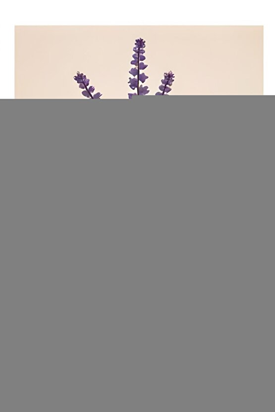 Balık Tutan Adam Digital Art ( ÇERÇEVESİZ - ÇERÇEVE YOKTUR ) ( ULTRA HD ) FOLYO AFİŞ - POSTER