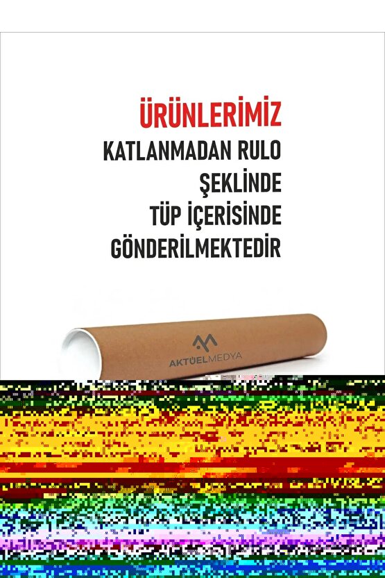 Matisse - Boho - Art Deco - Soyut - Doğa ( 3 lü Çerçevesiz ) Poster - Afiş - Tablo KR2C00724