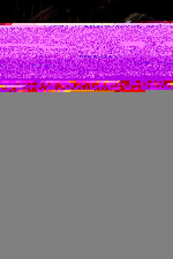 Matisse - Boho - Art Deco - Soyut - Doğa ( 3 lü Çerçevesiz ) Poster - Afiş - Tablo KR2C01090