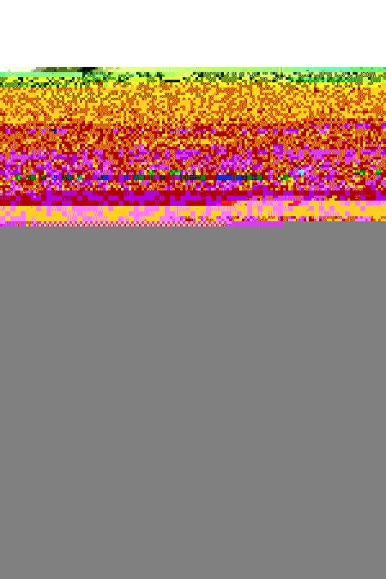 The Discreet Charm of the Bourgeoisie (1972) AFİŞ - POSTER ( FOLYO ) - AFİŞ - POSTER-6791