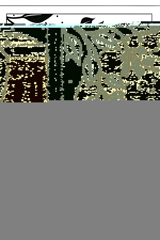 The Conjuring (2013) 1 AFİŞ - POSTER ( FOLYO ) - AFİŞ - POSTER-6704