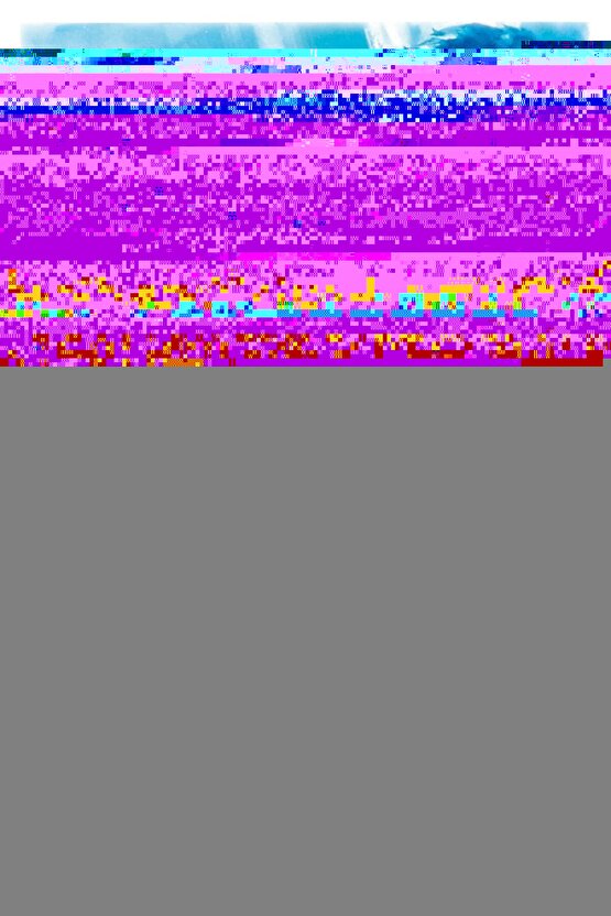 Gece Açan Çiçekler Digital Art ( ÇERÇEVESİZ - ÇERÇEVE YOKTUR ) ( ULTRA HD ) FOLYO AFİŞ - POSTER